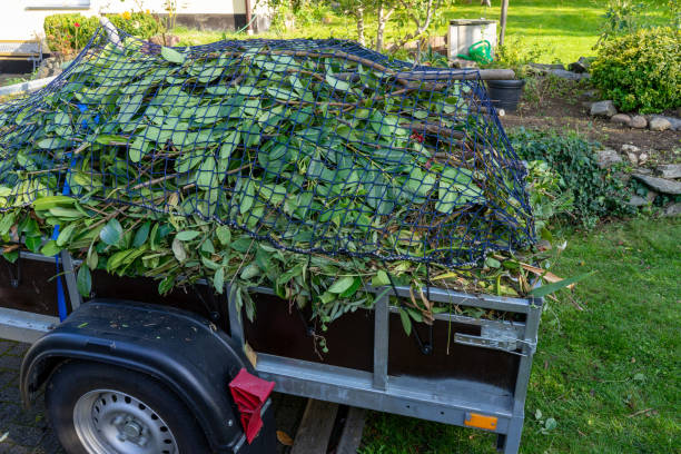 Best Shed Removal  in Gra Forks, ND